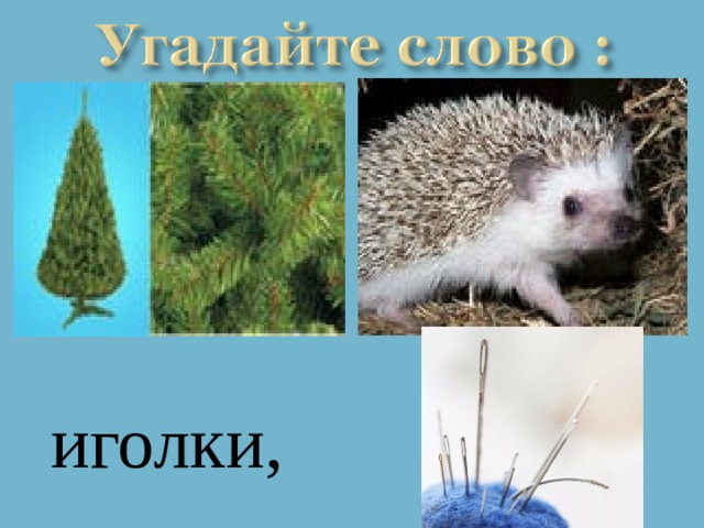 иголки, 