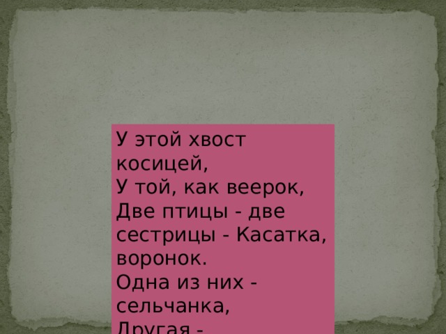 У этой хвост косицей, У той, как веерок, Две птицы - две сестрицы - Касатка, воронок. Одна из них - сельчанка, Другая - горожанка. 