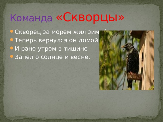 Команда «Скворцы» Скворец за морем жил зимой, Теперь вернулся он домой И рано утром в тишине Запел о солнце и весне. 