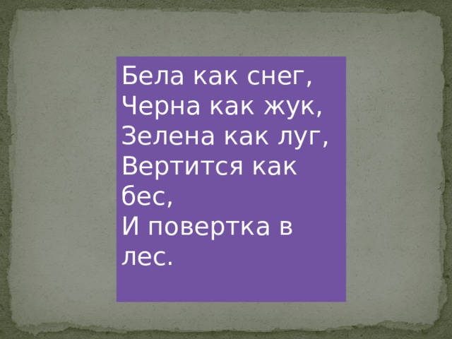 Бела как снег,  Черна как жук,   Зелена как луг,  Вертится как бес,  И повертка в лес.   