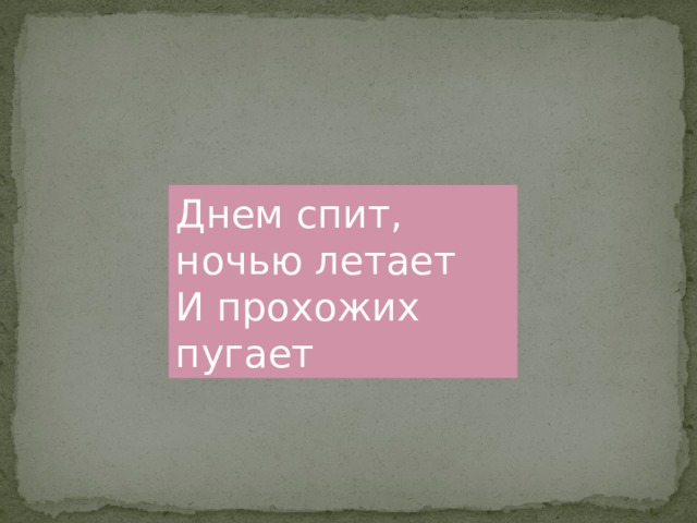 Днем спит,  ночью летает  И прохожих пугает 