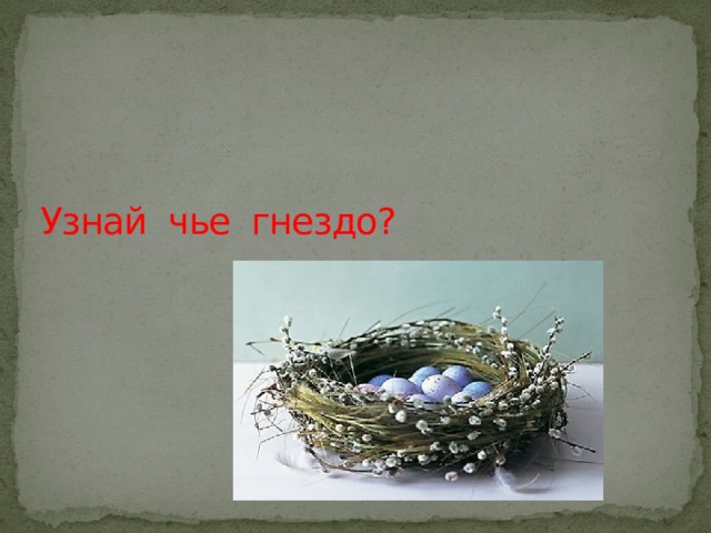   Узнай чье гнездо? 