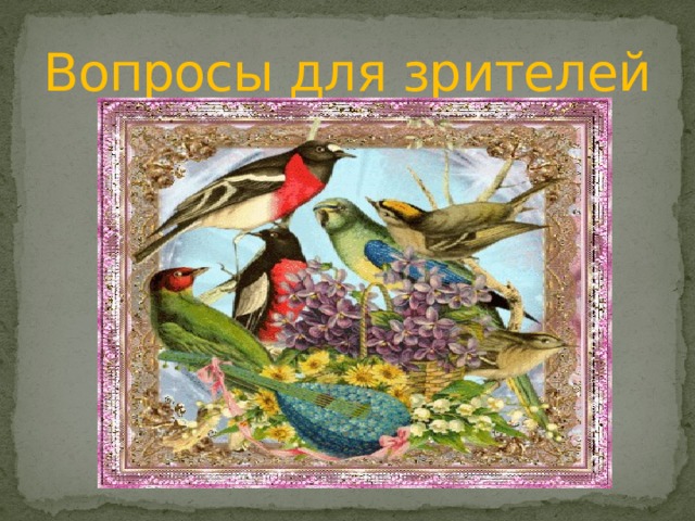 Вопросы для зрителей 