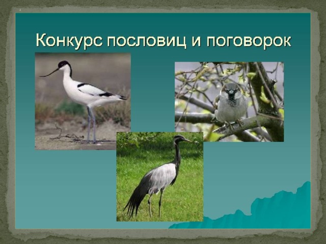 2              .Конкурс Эрудитов  