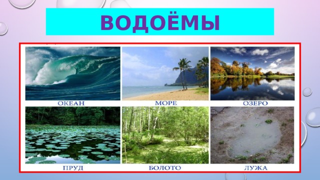 водоёмы 