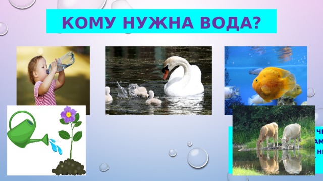 Кому нужна вода? Вода нужна всем и человеку , и животным, и птицам, и рыбам, и растениям, без неё они погибнут 