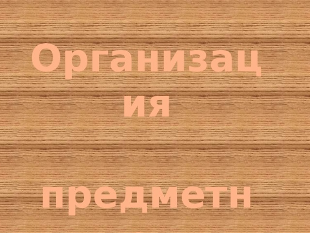 Организация  предметно-развивающей  среды участков 
