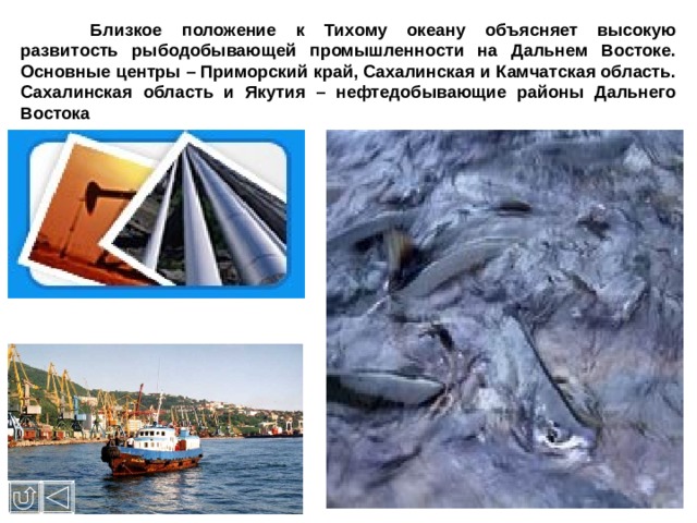  Близкое положение к Тихому океану объясняет высокую развитость рыбодобывающей промышленности на Дальнем Востоке. Основные центры – Приморский край, Сахалинская и Камчатская область. Сахалинская область и Якутия – нефтедобывающие районы Дальнего Востока 
