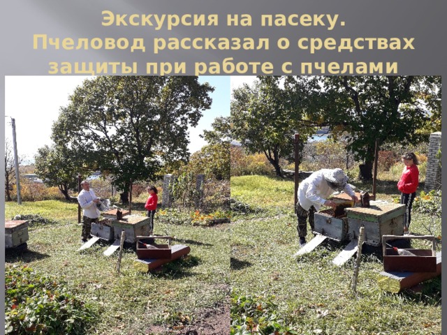 Экскурсия на пасеку.  Пчеловод рассказал о средствах защиты при работе с пчелами 