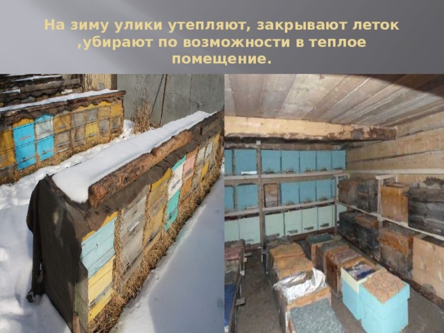На зиму улики утепляют, закрывают леток ,убирают по возможности в теплое помещение. 