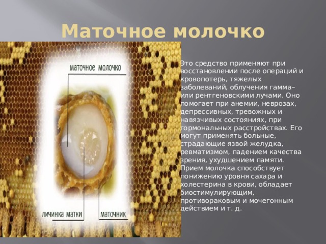 Маточное молочко Это средство применяют при восстановлении после операций и кровопотерь, тяжелых заболеваний, облучения гамма– или рентгеновскими лучами. Оно помогает при анемии, неврозах, депрессивных, тревожных и навязчивых состояниях, при гормональных расстройствах. Его могут применять больные, страдающие язвой желудка, ревматизмом, падением качества зрения, ухудшением памяти. Прием молочка способствует понижению уровня сахара и холестерина в крови, обладает биостимулирующим, противораковым и мочегонным действием и т. д. 