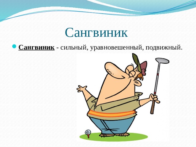 Сангвиник Сангвиник - сильный, уравновешенный, подвижный. 