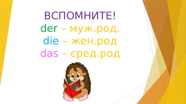 ВСПОМНИТЕ! der – муж.род. die – жен.род das – сред.род 