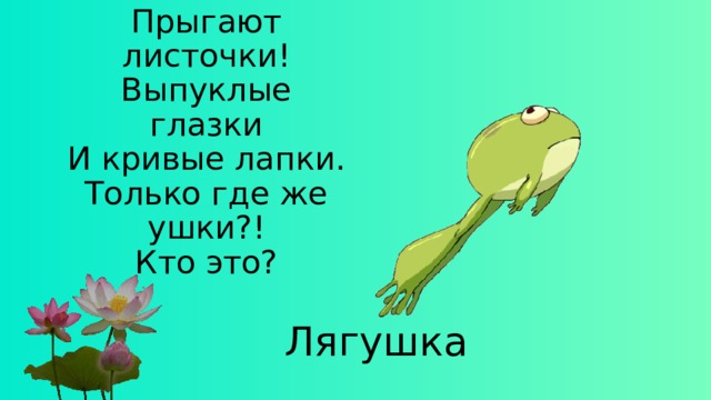 На лугу по кочкам  Прыгают листочки!  Выпуклые глазки  И кривые лапки.  Только где же ушки?!  Кто это?   Лягушка 