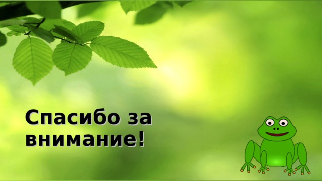 Спасибо за внимание! 
