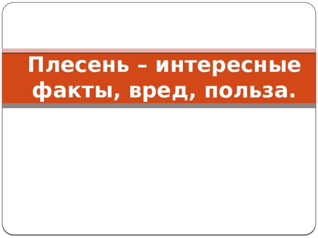Плесень – интересные факты, вред, польза. 