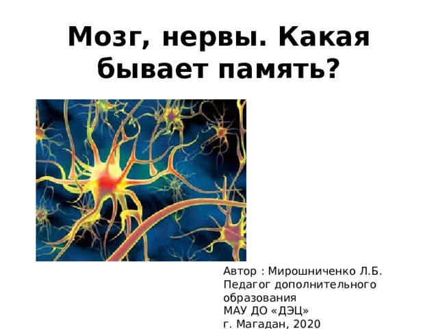 Мозг, нервы. Какая бывает память? Автор : Мирошниченко Л.Б. Педагог дополнительного образования МАУ ДО «ДЭЦ» г. Магадан, 2020 