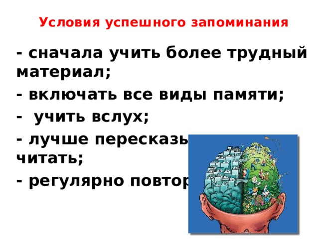  Условия успешного запоминания  - сначала учить более трудный материал; - включать все виды памяти; - учить вслух; - лучше пересказывать, а не читать; - регулярно повторять. 