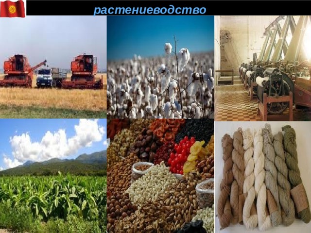  растениеводство 