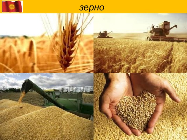  зерно 