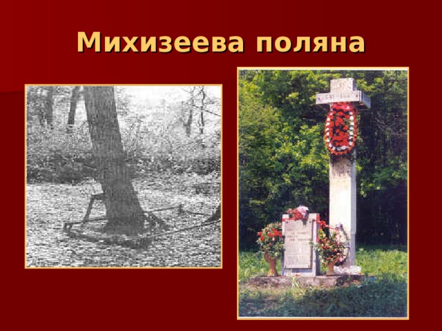 Михизеева поляна 