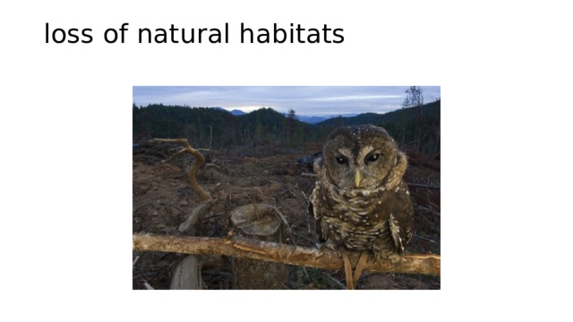 loss of natural habitats   