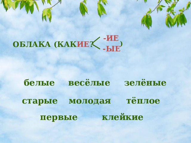 -ИЕ ОБЛАКА (КАК ИЕ ? ) -ЫЕ весёлые зелёные белые старые молодая тёплое первые клейкие 