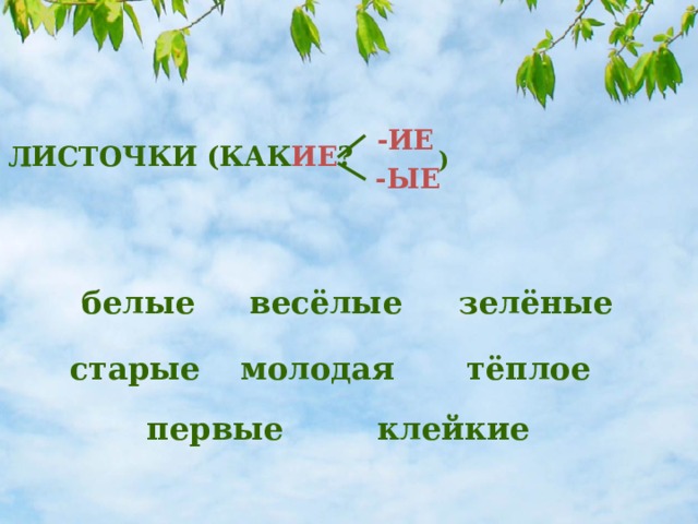 -ИЕ ЛИСТОЧКИ (КАК ИЕ ? ) -ЫЕ зелёные белые весёлые старые молодая тёплое первые клейкие 