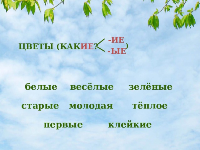 -ИЕ ЦВЕТЫ (КАК ИЕ ? ) -ЫЕ белые зелёные весёлые старые молодая тёплое первые клейкие 