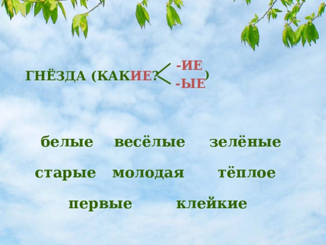 -ИЕ ГНЁЗДА (КАК ИЕ ? ) -ЫЕ белые зелёные весёлые старые молодая тёплое первые клейкие 
