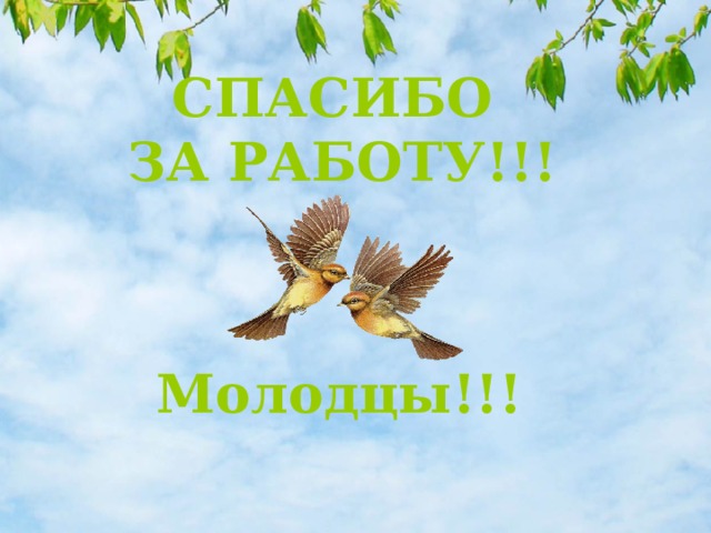СПАСИБО  ЗА РАБОТУ!!! Молодцы!!! 