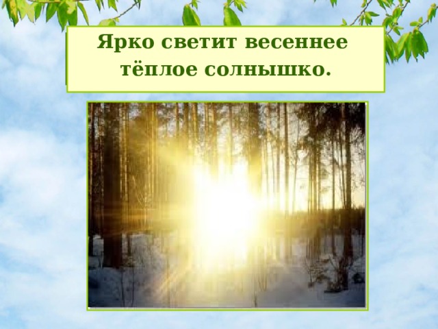 Ярко светит весеннее тёплое солнышко. Что происходит в природе  весной? 