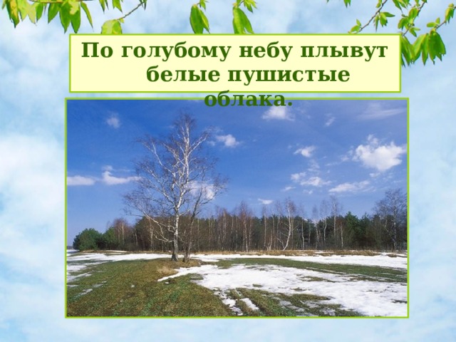 По голубому небу плывут белые пушистые облака. 