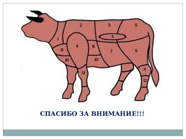 СПАСИБО ЗА ВНИМАНИЕ!!! 