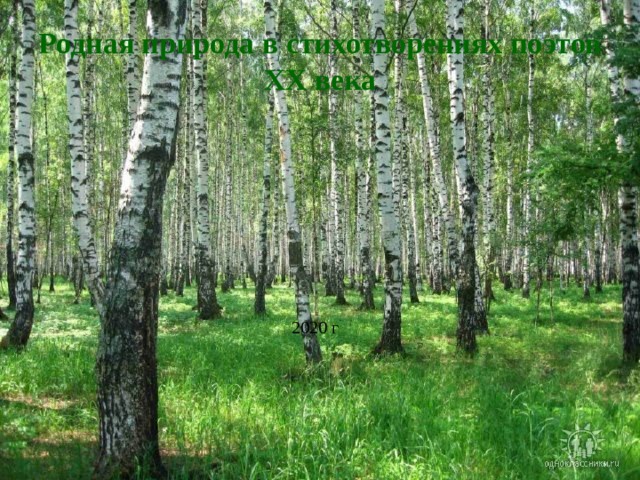 Родная природа в стихотворениях поэтов XX века 2020 г 
