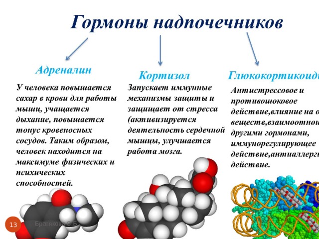 Братякова С.Б.  