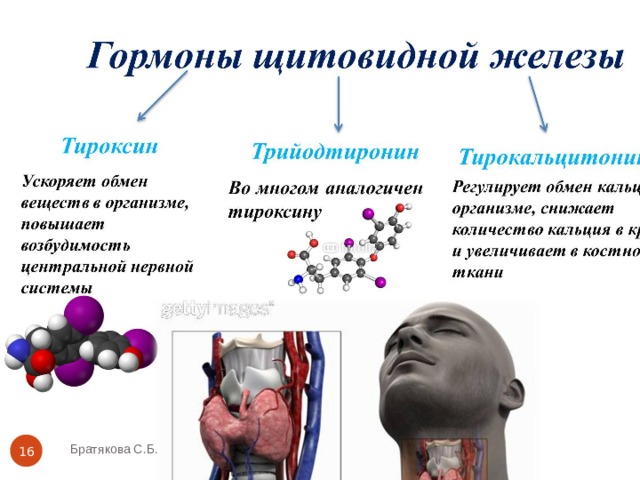 Братякова С.Б.  