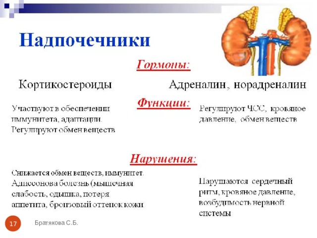 Братякова С.Б.  