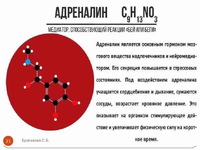 Братякова С.Б.  