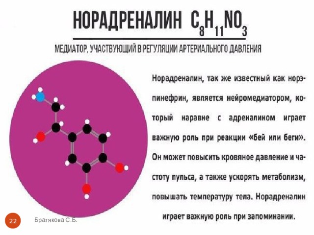 Братякова С.Б.  