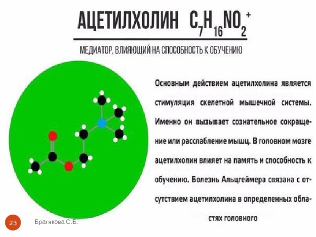 Братякова С.Б.  