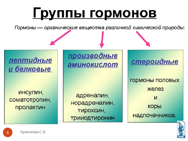 Братякова С.Б.  