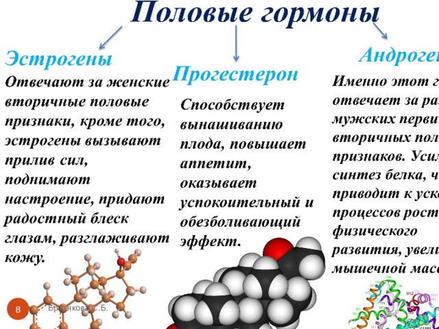Братякова С.Б.  