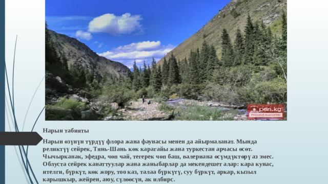  Нарын табияты Нарын өзүнүн түрдүү флора жана фаунасы менен да айырмаланат. Мында реликтүү сейрек, Тянь-Шань көк карагайы жана туркестан арчасы өсөт. Чычырканак, эфедра, чөп чай, тегерек чөп баш, валериана өсүмдүктөрү аз эмес. Облуста сейрек канаттуулар жана жаныбарлар да мекендешет алар: кара кунас, ителги, бүркүт, көк жору, тоо каз, талаа бүркүтү, суу бүркүт, аркар, кызыл карышкыр, жейрен, аюу, сүлөөсүн, ак илбирс. 