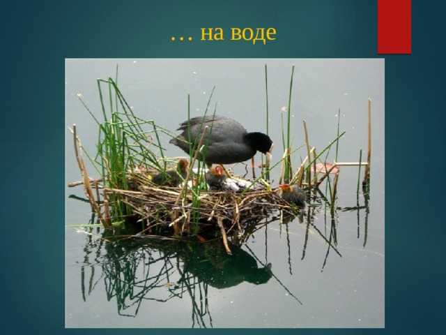 … на воде 