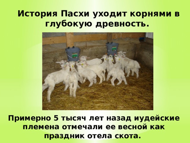 История Пасхи уходит корнями в глубокую древность.   Примерно 5 тысяч лет назад иудейские племена отмечали ее весной как праздник отела скота.   