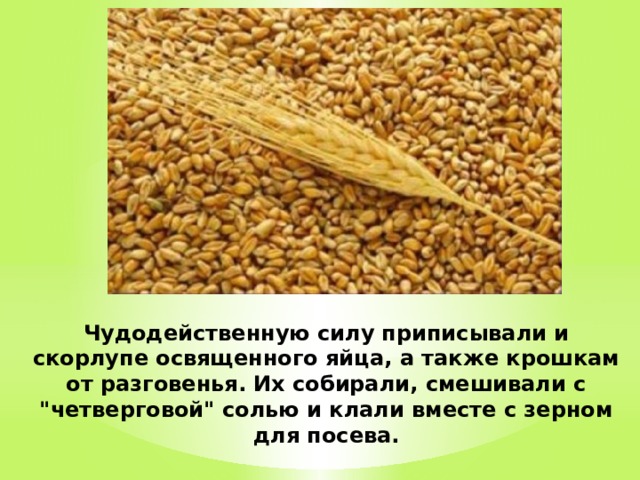 Чудодейственную силу приписывали и скорлупе освященного яйца, а также крошкам от разговенья. Их собирали, смешивали с 