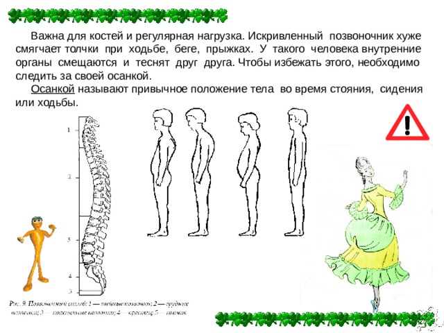  Важна для костей и регулярная нагрузка. Искривленный позвоночник хуже смягчает толчки при ходьбе, беге, прыжках. У такого человека внутренние органы смещаются и теснят друг друга. Чтобы избежать этого, необходимо следить за своей осанкой.  Осанкой называют привычное положение тела во время стояния, сидения или ходьбы. 