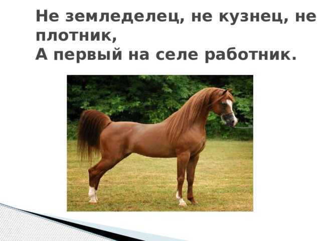 Не земледелец, не кузнец, не плотник,  А первый на селе работник. 
