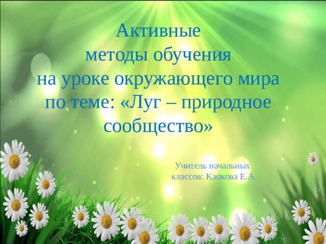 Активные  методы обучения  на уроке окружающего мира  по теме: «Луг – природное сообщество»  Учитель начальных классов: Клокова Е.А. 